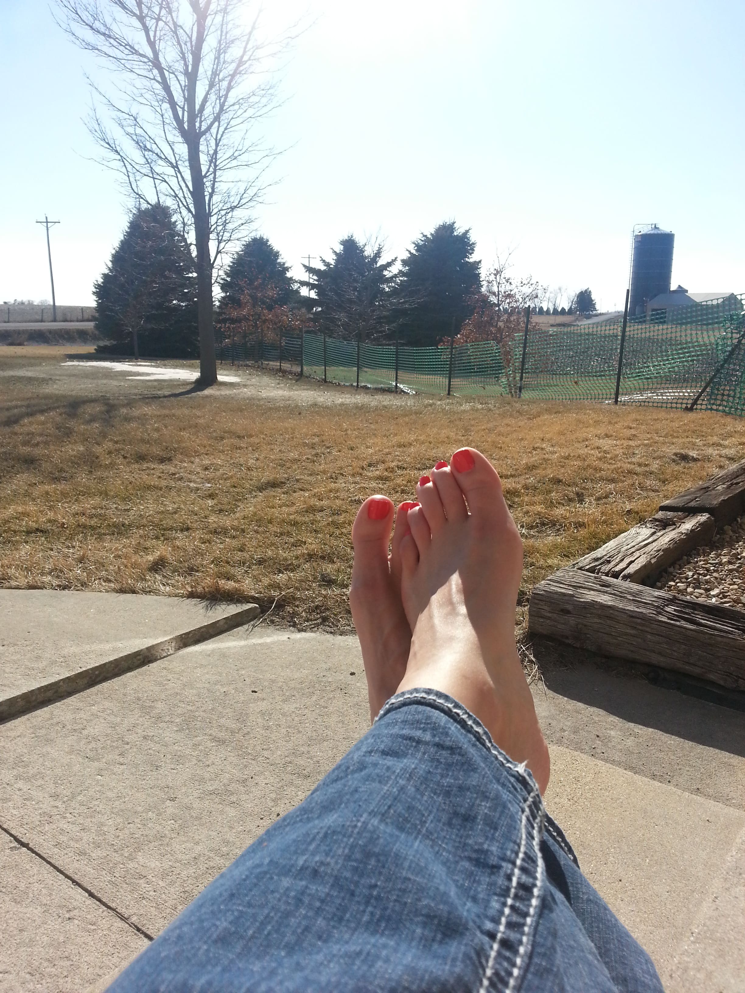 Hello Spring!