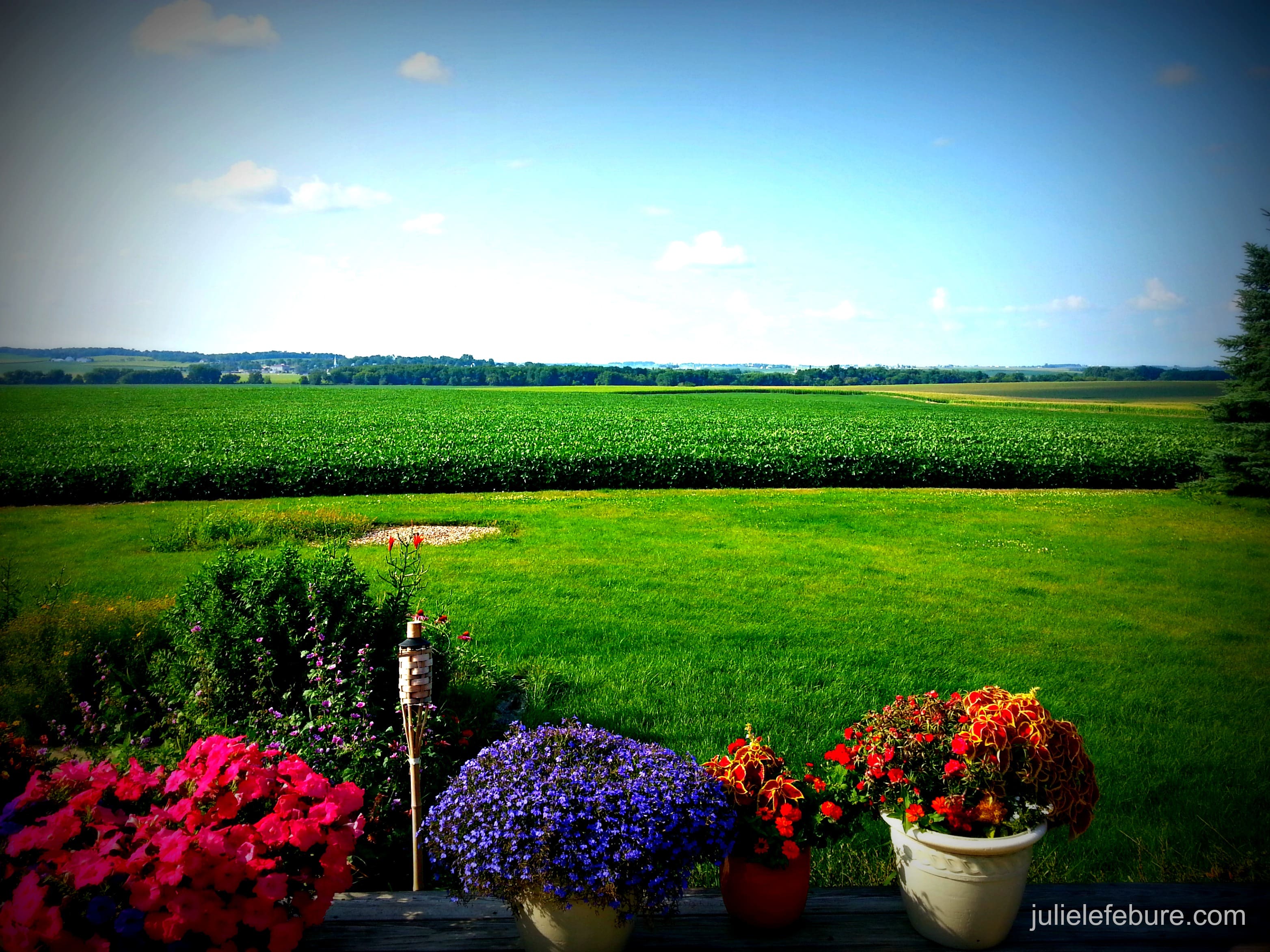 A Pause of Peacefulness