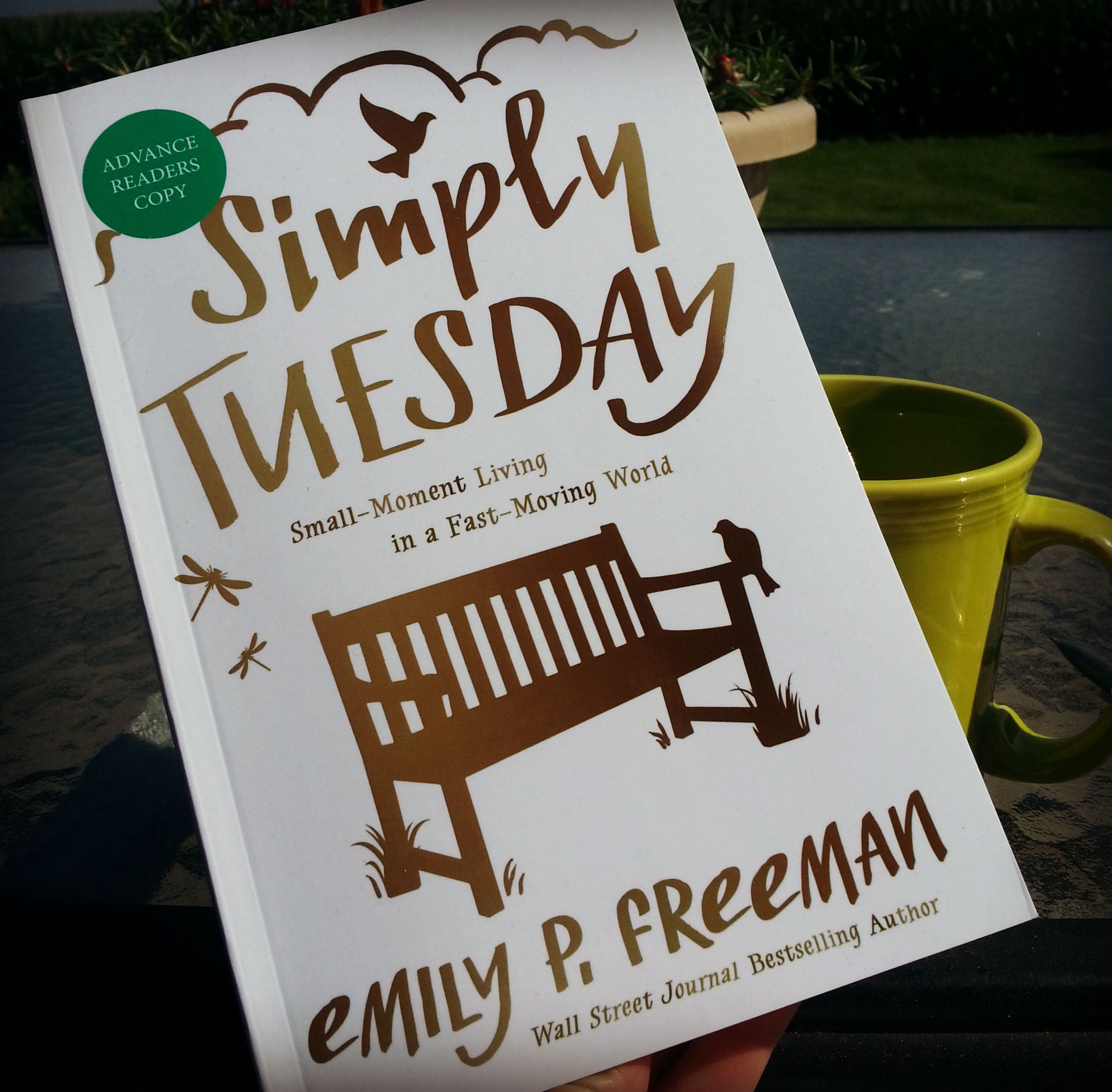 A Beautiful Tuesday