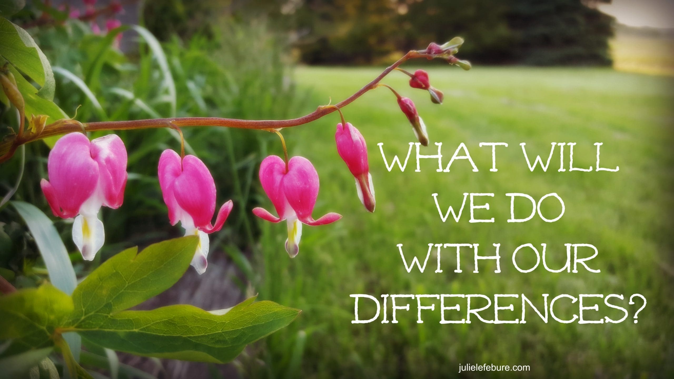 What Will You And I Do With Our Differences?