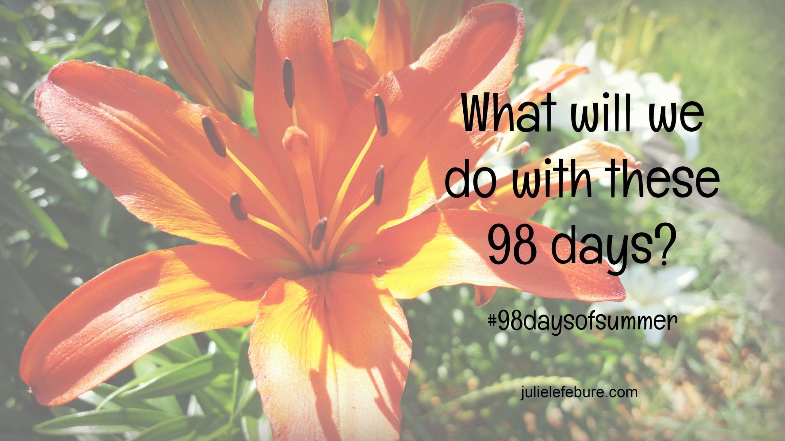 What Will We Do With These 98 Days? #98daysofsummer