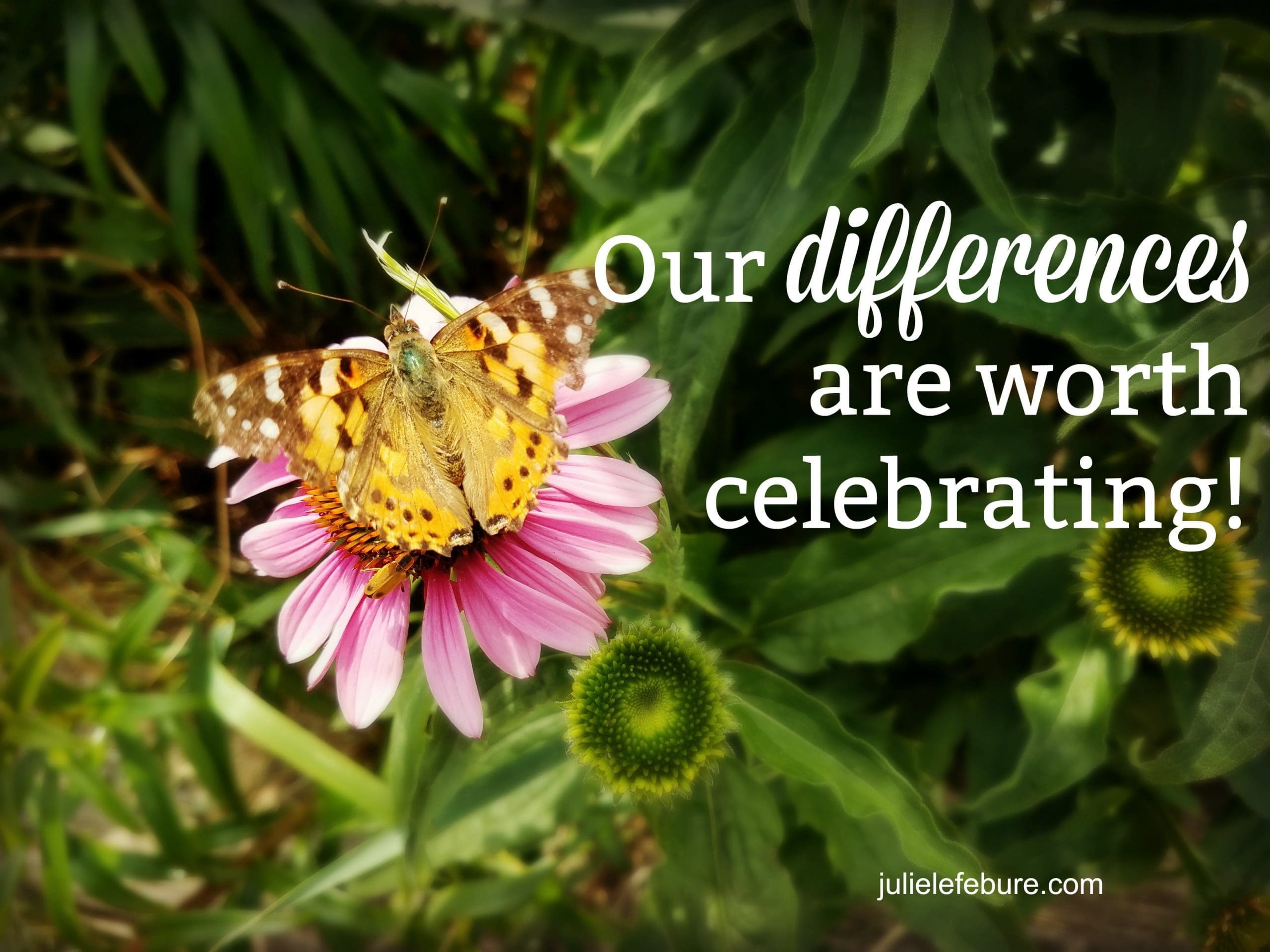 Living A Real Life And Celebrating Our Differences