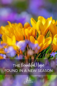 The Beautiful Hope Found in a New Season