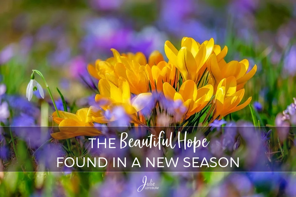 The Beautiful Hope Found In A New Season