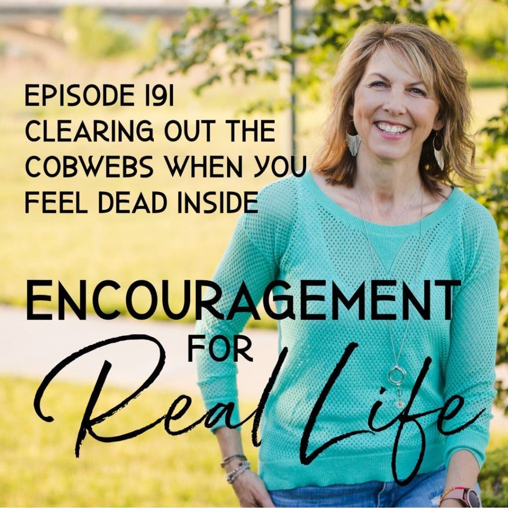 Encouragement for Real Life Podcast, Episode 191, Clearing Out the Cobwebs When You Feel Dead Inside