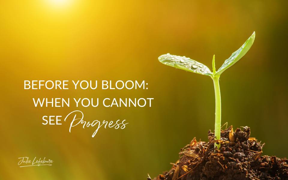 196. Before You Bloom: When You Cannot See Progress